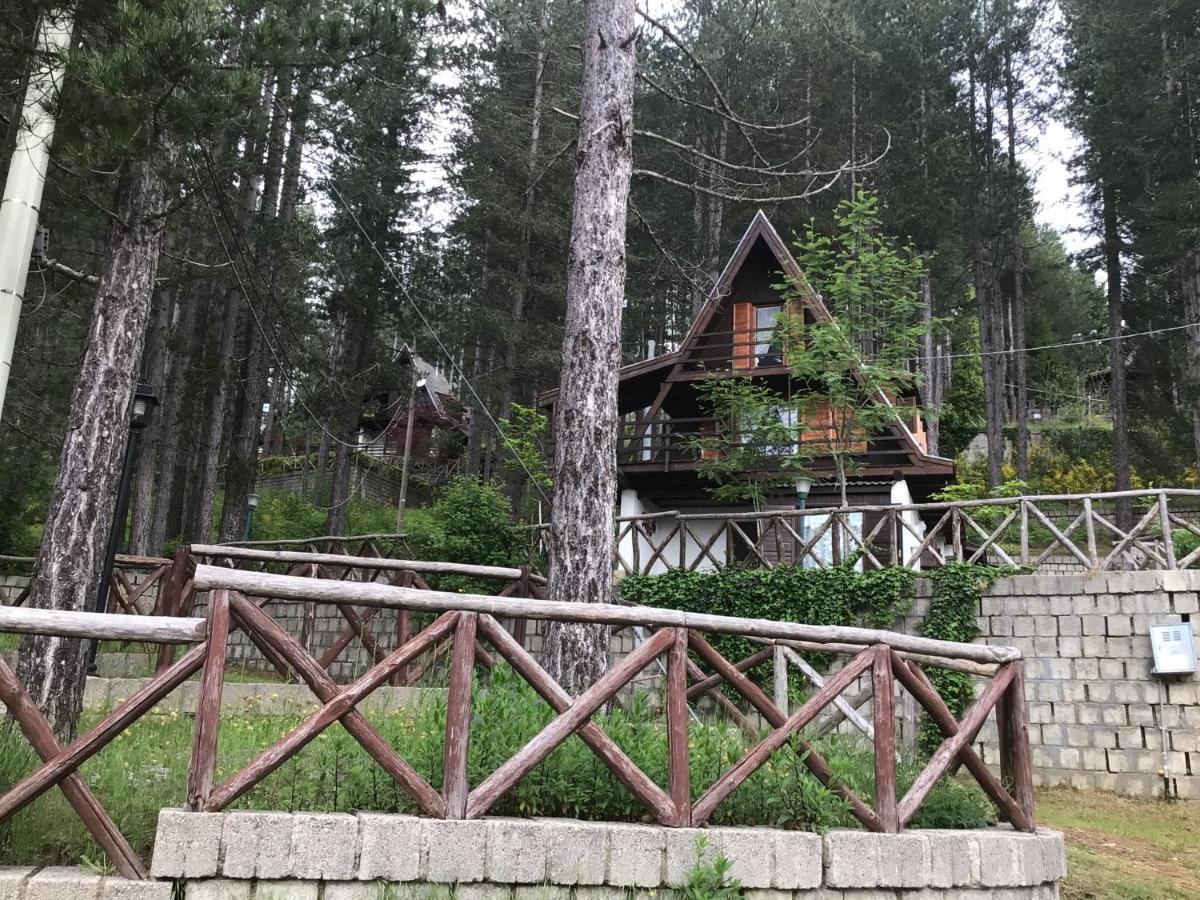 Chalet Natura Sport&Relax Cavaliere (Cosenza) Exterior foto
